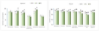 Effects of Catalase on Growth Performance, Antioxidant Capacity, Intestinal Morphology, and Microbial Composition in Yellow Broilers